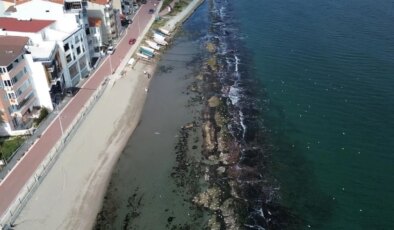 Deniz 10 metre çekildi, tarihi Kral Yolu yüzyıllar sonra ortaya çıktı
